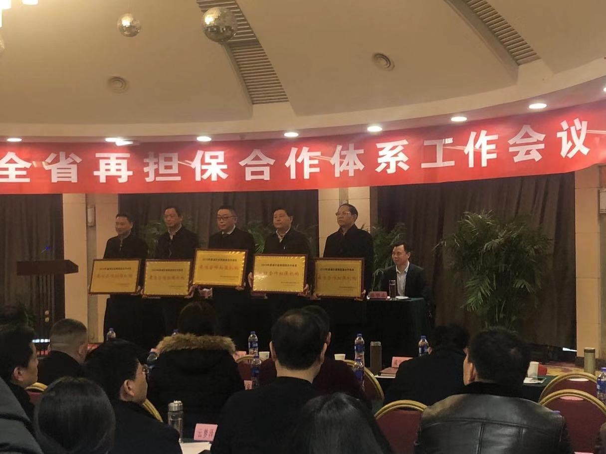 市擔(dān)保公司榮獲省再擔(dān)保集團(tuán)“最佳合作擔(dān)保機(jī)構(gòu)”稱號